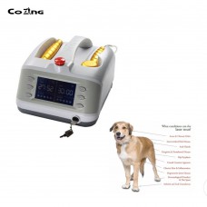 Laser Physiotherapy Aesthetics Laser Equipment+2 Probes 810nm and 650nm for Pain Wound Healing Pet Friendly